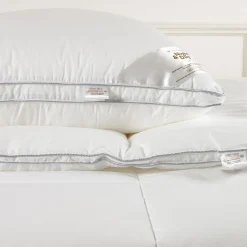 Night & Day Dyner><noscript><img width=