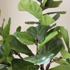Botané Kunstige Blomster & Træer>Fiddle Leaf Fig