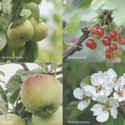 FJORD Scent Diffuser 100ml Dufte Til Hjemmet