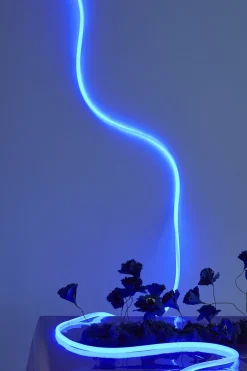 Studio About Lyskæder><noscript><img width=