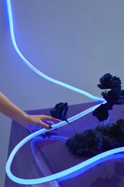 Studio About Lyskæder><noscript><img width=