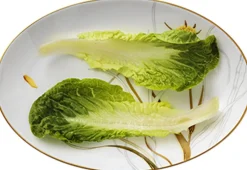 Royal Copenhagen Skåle & Fade>Flora 26 cm. fad - Mælkebøtte