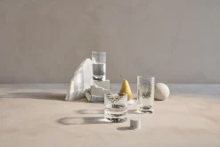 Forma Drinksglas klar 30 cl 2 stk. Glas