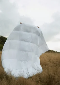 Autumn Dyne-Fossflakes Online