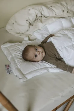 Baby Pude & Dyne-Fossflakes New