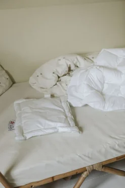 Baby Pude & Dyne-Fossflakes New