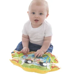 Frø vand aktivitets måtte-Playgro Sale