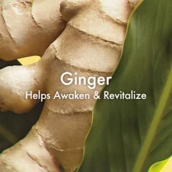 Ginger Essence Sensuous Fragrance Skin Scent-Origins Clearance