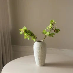 Green Cymbidium Orchid Flower-Botané Online