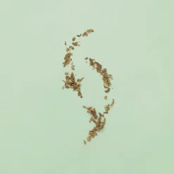 Gucci Eau De Toilette><noscript><img width=