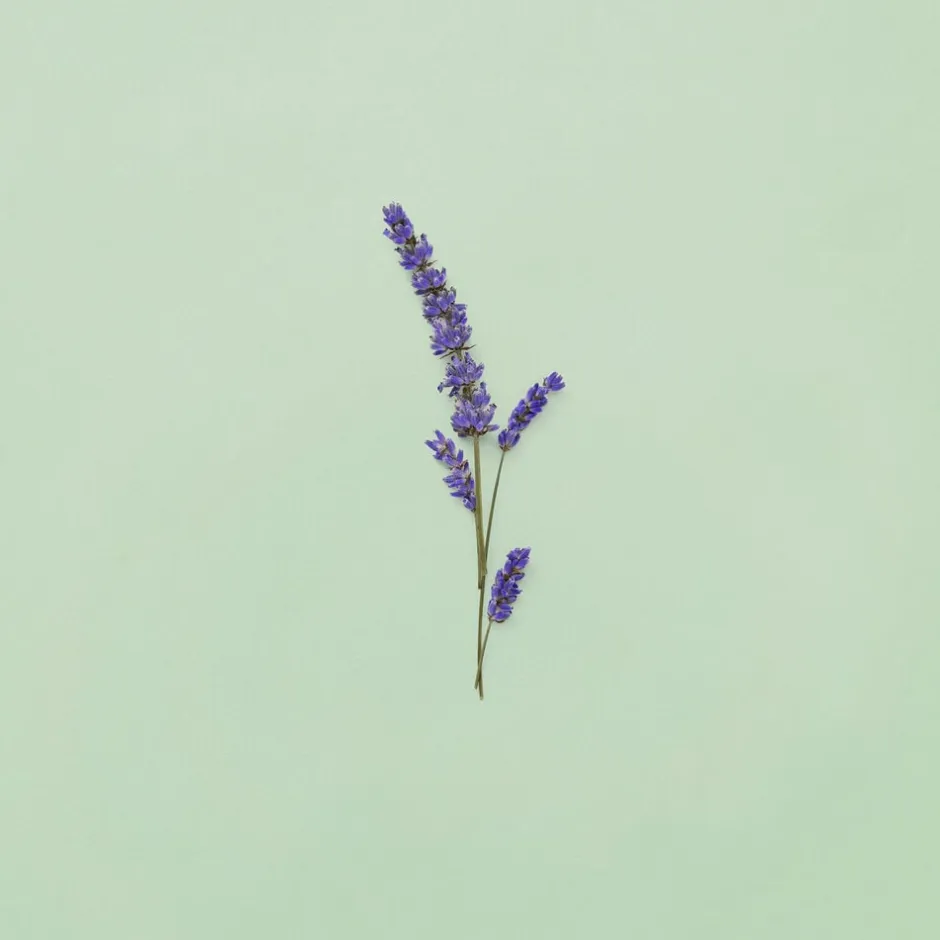 Gucci Eau De Toilette>Guilty Pour Homme Eau de Toilette