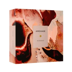 Amouage Nicheparfumer|Eau De Parfum>Guidance Woman - Edp 100ml