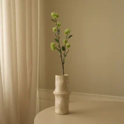 Hamamelis Branch-Botané