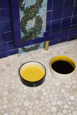 Hay Til Boligens Kæledyr>Dogs Bowl-Large-Blue, yellow