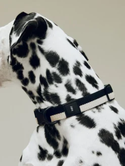 Dogs Collar Flat-M/L-Black, whi-Hay
