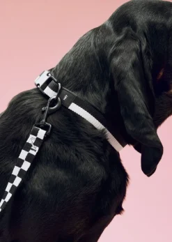 Outlet Dogs Leash-Flat Check M/L-Black Til Boligens Kæledyr