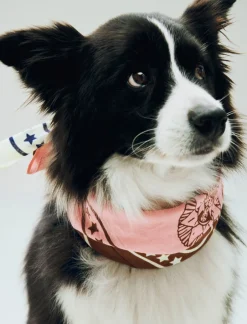 Dogs Scarf Recycled-55 x 55-P-Hay Sale