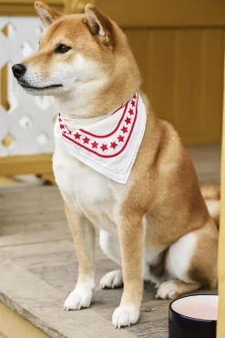 Dogs Scarf-55 x 55-Off-white-Hay Outlet