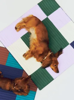 Hay Til Boligens Kæledyr><noscript><img width=