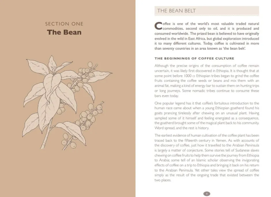 New Mags Bøger>How to make Coffee