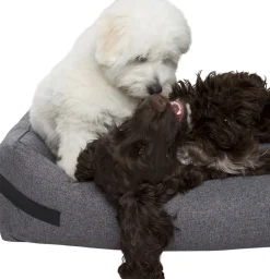 Clearance Hundeseng HYGGE Anthracite Til Boligens Kæledyr