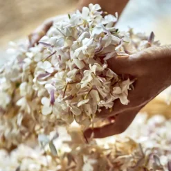 J'adore Eau de parfum-DIOR Clearance