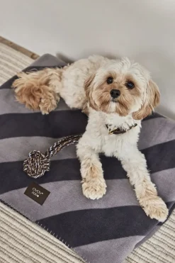 Kaya Hundetæppe - Medium-OYOY Living Design Online