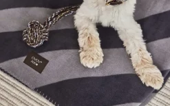 Kaya Hundetæppe - Medium-OYOY Living Design Online