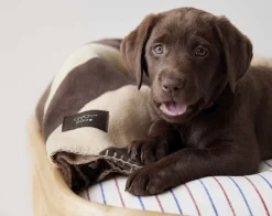 Kaya Hundetæppe - Medium-OYOY Living Design Online