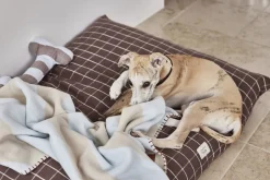 OYOY Living Design Til Boligens Kæledyr>Kaya Hundetæppe - Stor