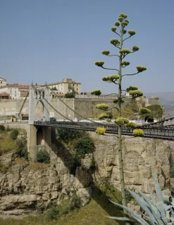 New Mags Bøger><noscript><img width=