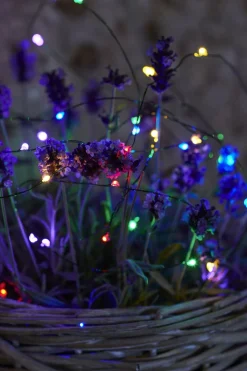 Knirke, 40L, Multi/Grøn lyskæde-Sirius Hot