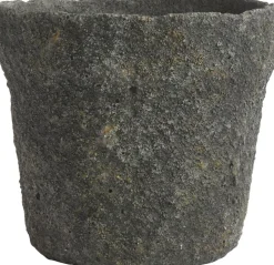 Krukke Mosu 16-Muubs Hot