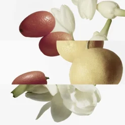 Clearance LE JARDIN DE MONSIEUR LI EDT BOTTLE REFILL 200 ML Eau De Toilette