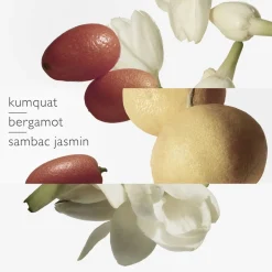 Outlet Le Jardin de Monsieur Li Eau de Toilette Nicheparfumer|Eau De Toilette