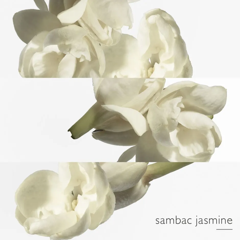 Outlet Le Jardin de Monsieur Li Eau de Toilette Nicheparfumer|Eau De Toilette