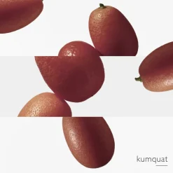 Outlet Le Jardin de Monsieur Li Eau de Toilette Nicheparfumer|Eau De Toilette