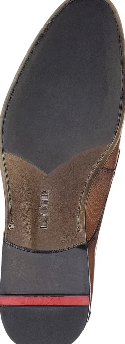 LEVIN-Lloyd Discount