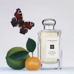 Lime Basil & Mandarin Cologne Eau De Cologne