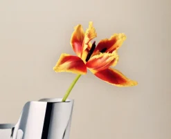 Sale LITUUS Vase, Gulv Vaser & Urtepotteskjulere