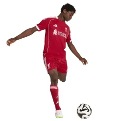 adidas Træningsshorts><noscript><img width=