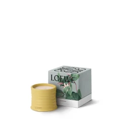 Outlet LOEWE Honeysuckle Candle Dufte Til Hjemmet