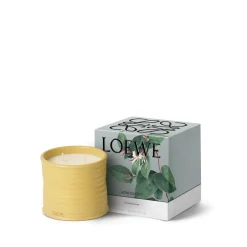 Outlet LOEWE Honeysuckle Candle Dufte Til Hjemmet