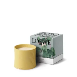 Outlet LOEWE Honeysuckle Candle Dufte Til Hjemmet