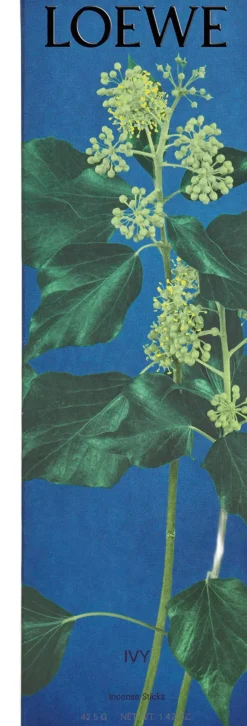 Best LOEWE Ivy Incense Sticks Refill Dufte Til Hjemmet