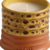 Outlet LOEWE Mimosa Candle Small Dufte Til Hjemmet