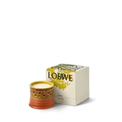 Outlet LOEWE Mimosa Candle Small Dufte Til Hjemmet