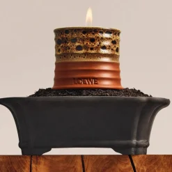Outlet LOEWE Mimosa Candle Small Dufte Til Hjemmet