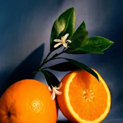 Loewe Perfumes Dufte Til Hjemmet><noscript><img width=