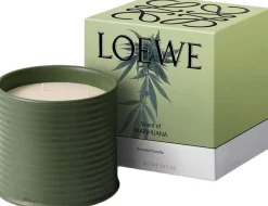 LOEWE Scent of Marihuana Candle-Loewe Perfumes Hot